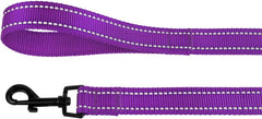 Nylon Dog Leash 5Ft for Daily Outdoor Walking Running Training Heavy Duty Reflective Pet Leashes for Large, Medium & Small Dogs (M, Purple)