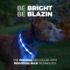 Light up Dog Collar - the Original LED Dog Collar - USB Rechargeable - Waterproof - 1,000 Feet of Visibility - Dog Collar Light for Small, Medium, Large Dogs - US Brand