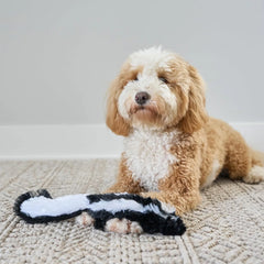 Skinneeez Skunk Dog Toy – Soft No Stuffing Dog Toy with Squeaker, for Small & Medium Dogs, Best for Light to Moderate Chewers, 14In